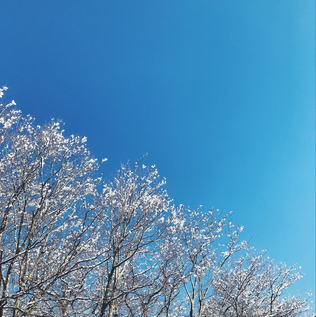 f:id:asacafe:20190215130322j:plain f:id:asacafe:20190215130322j:plain