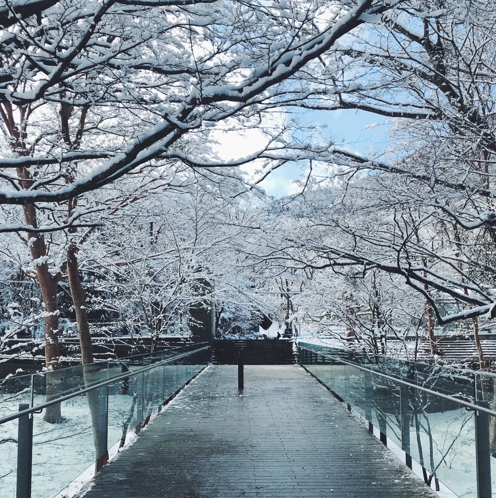 f:id:asacafe:20190215130646j:plain f:id:asacafe:20190215130646j:plain