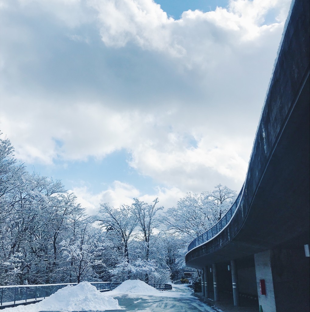 f:id:asacafe:20190215131118j:plain f:id:asacafe:20190215131118j:plain