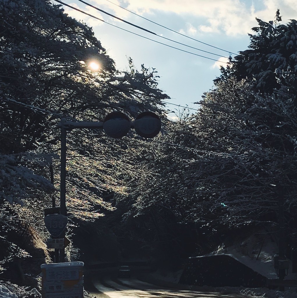 f:id:asacafe:20190215140559j:plain f:id:asacafe:20190215140559j:plain