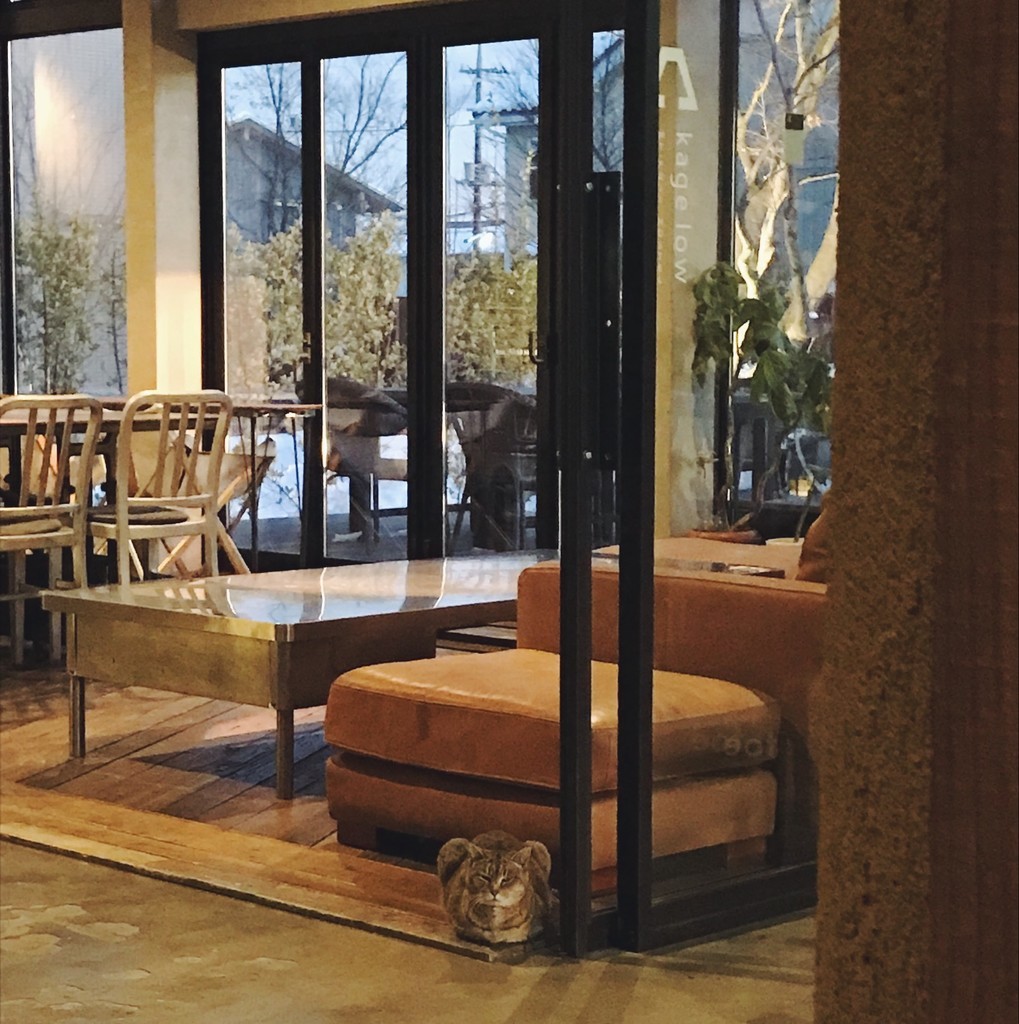 f:id:asacafe:20190215142926j:plain f:id:asacafe:20190215142926j:plain