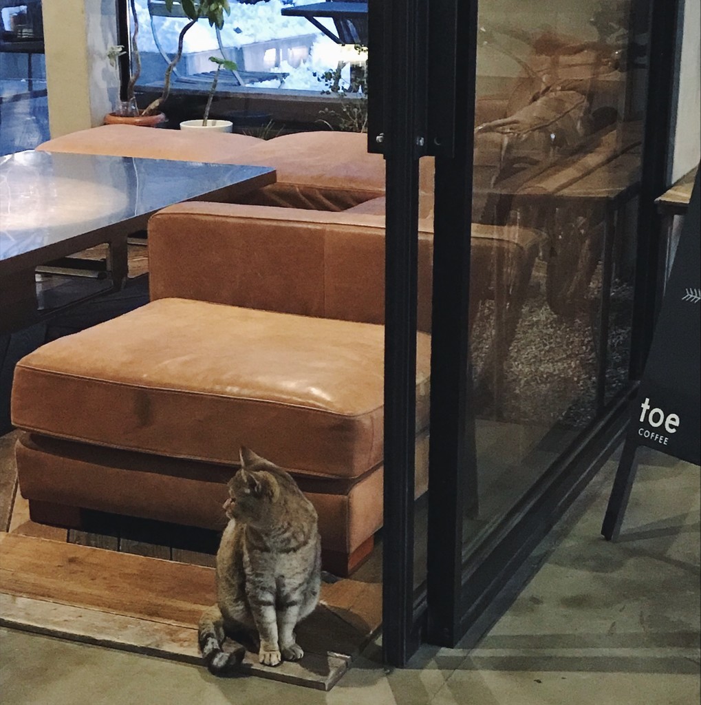 f:id:asacafe:20190215142949j:plain f:id:asacafe:20190215142949j:plain