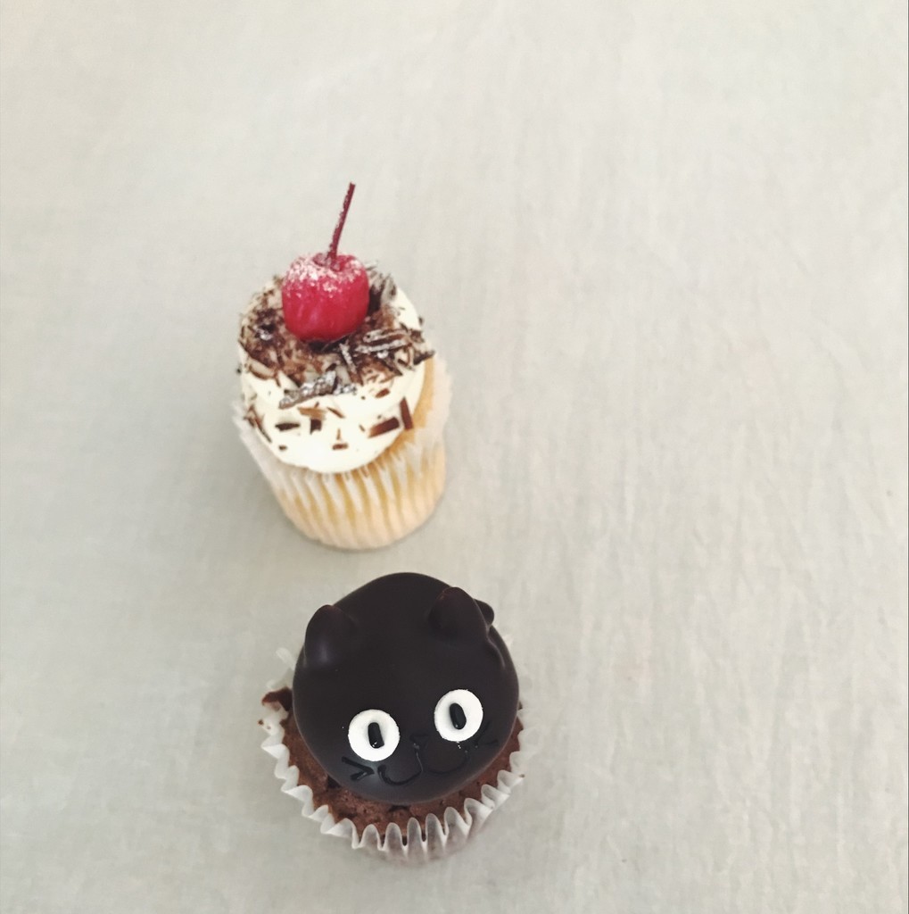 f:id:asacafe:20190216230106j:plain f:id:asacafe:20190216230106j:plain