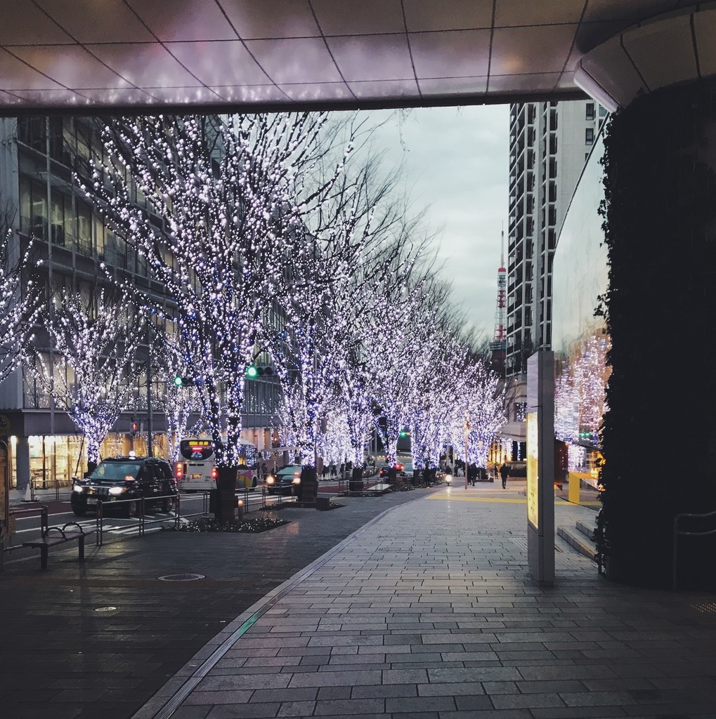 f:id:asacafe:20190219092437j:plain f:id:asacafe:20190219092437j:plain