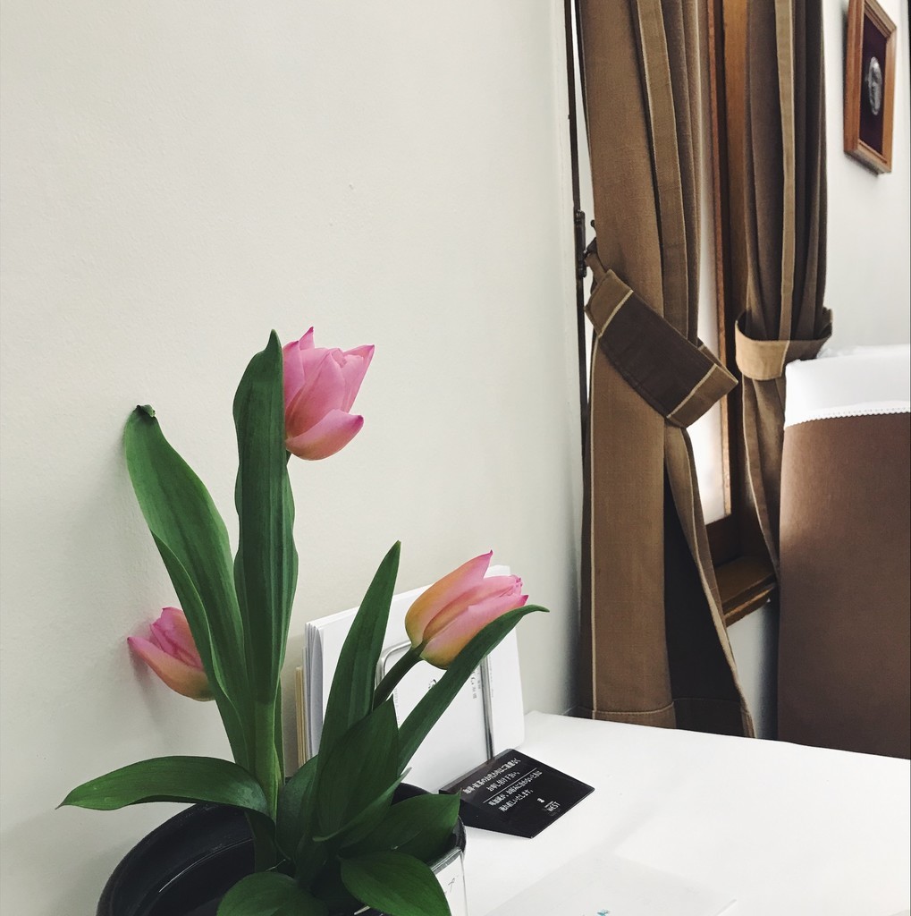 f:id:asacafe:20190222123021j:plain f:id:asacafe:20190222123021j:plain