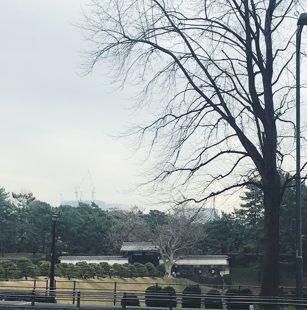 f:id:asacafe:20190222124122j:plain f:id:asacafe:20190222124122j:plain