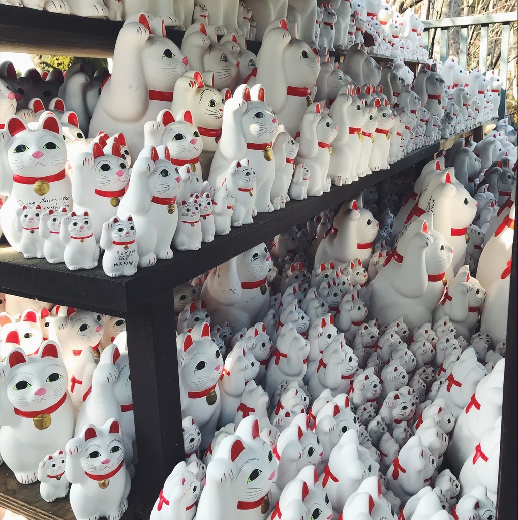 f:id:asacafe:20190304144040j:plain