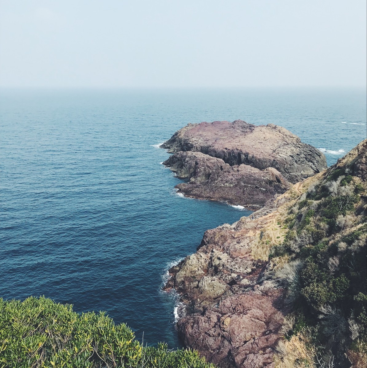f:id:asacafe:20190316053151j:plain f:id:asacafe:20190316053151j:plain