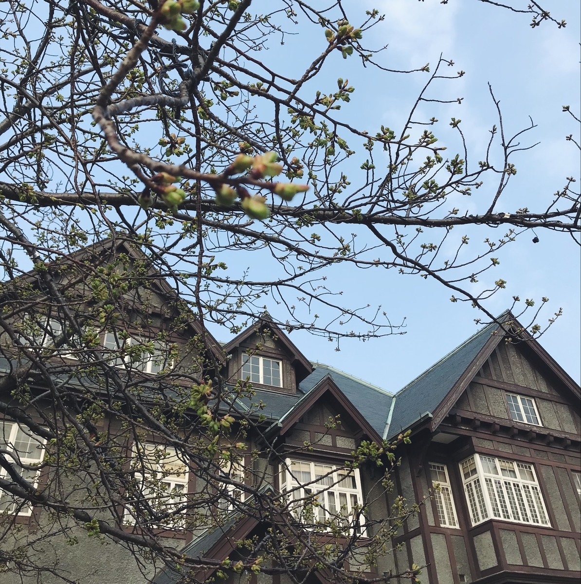 f:id:asacafe:20190317104524j:plain f:id:asacafe:20190317104524j:plain