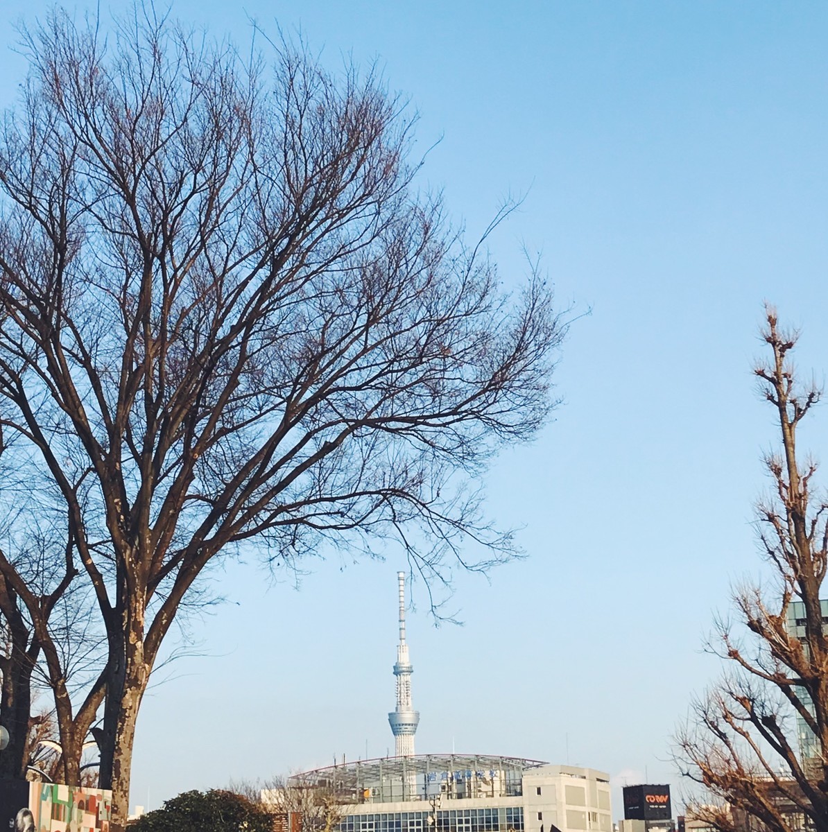 f:id:asacafe:20190318123049j:plain