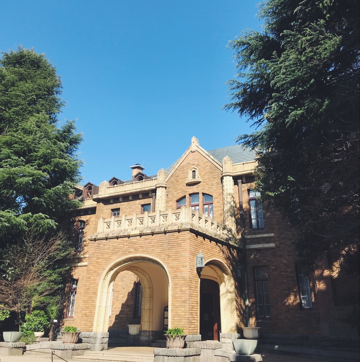 f:id:asacafe:20190325214543j:plain f:id:asacafe:20190325214543j:plain