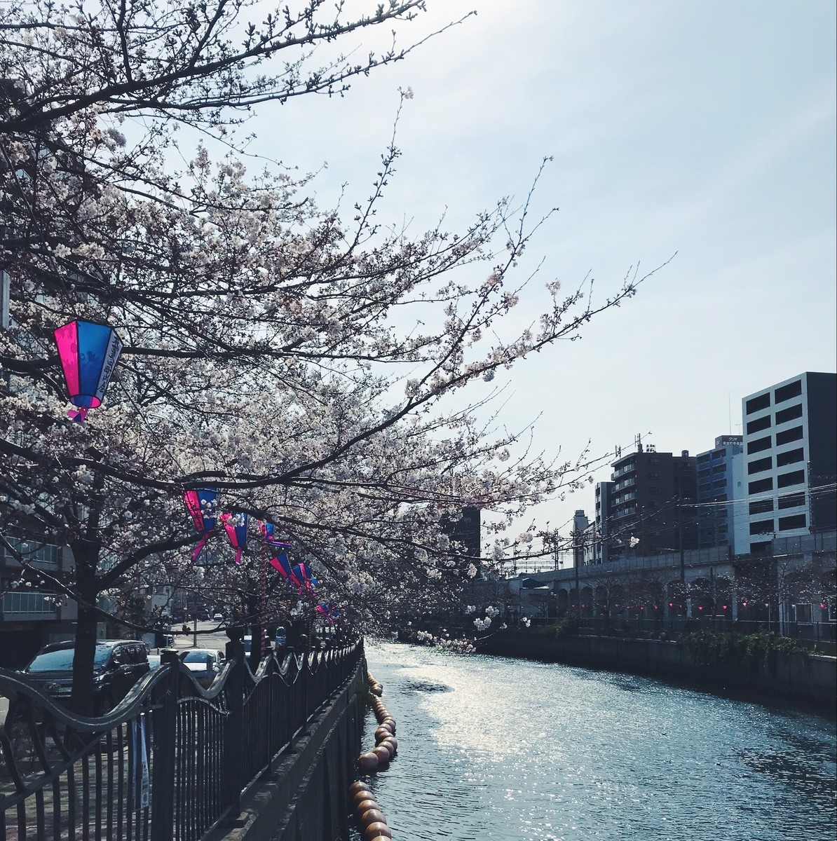 f:id:asacafe:20190330173612j:plain f:id:asacafe:20190330173612j:plain