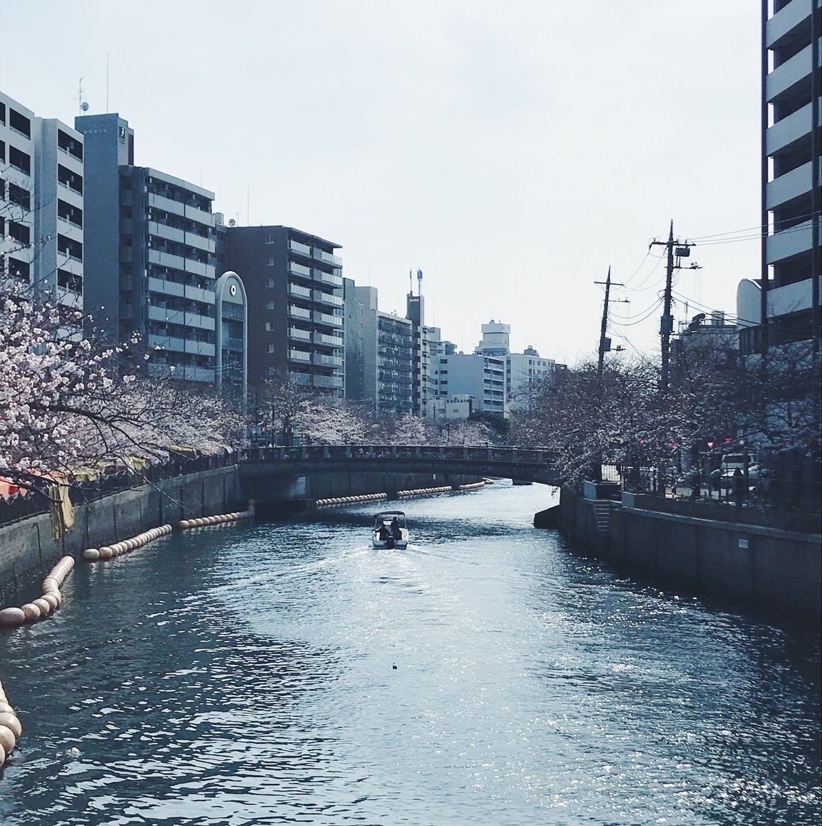 f:id:asacafe:20190330173805j:plain f:id:asacafe:20190330173805j:plain