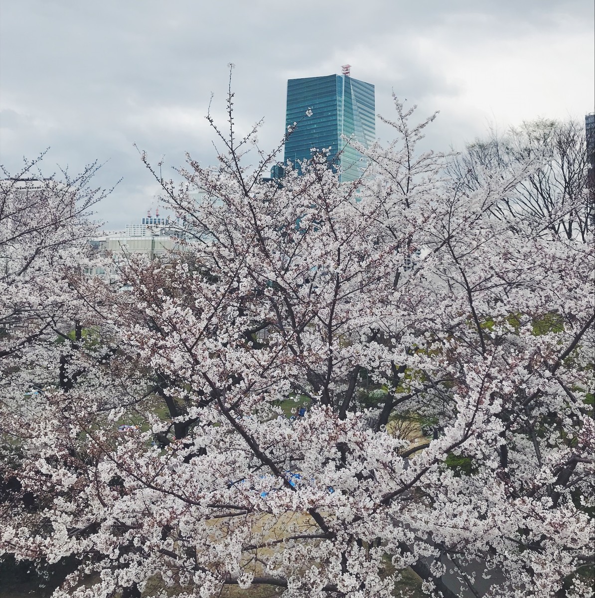 f:id:asacafe:20190330175721j:plain f:id:asacafe:20190330175721j:plain
