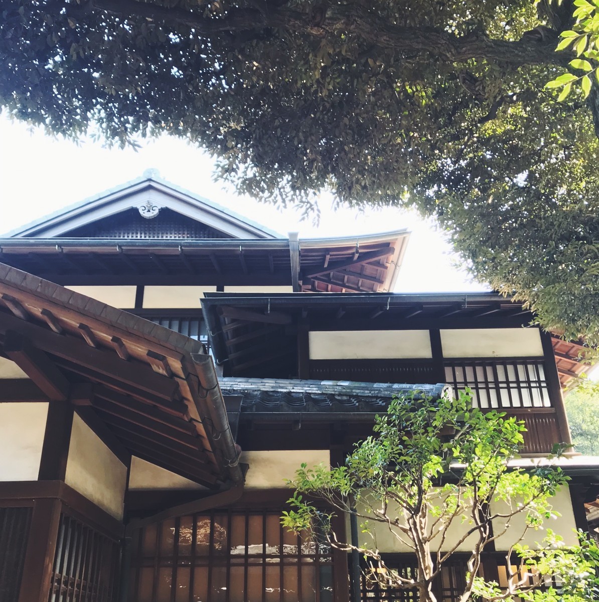 f:id:asacafe:20190331160836j:plain f:id:asacafe:20190331160836j:plain