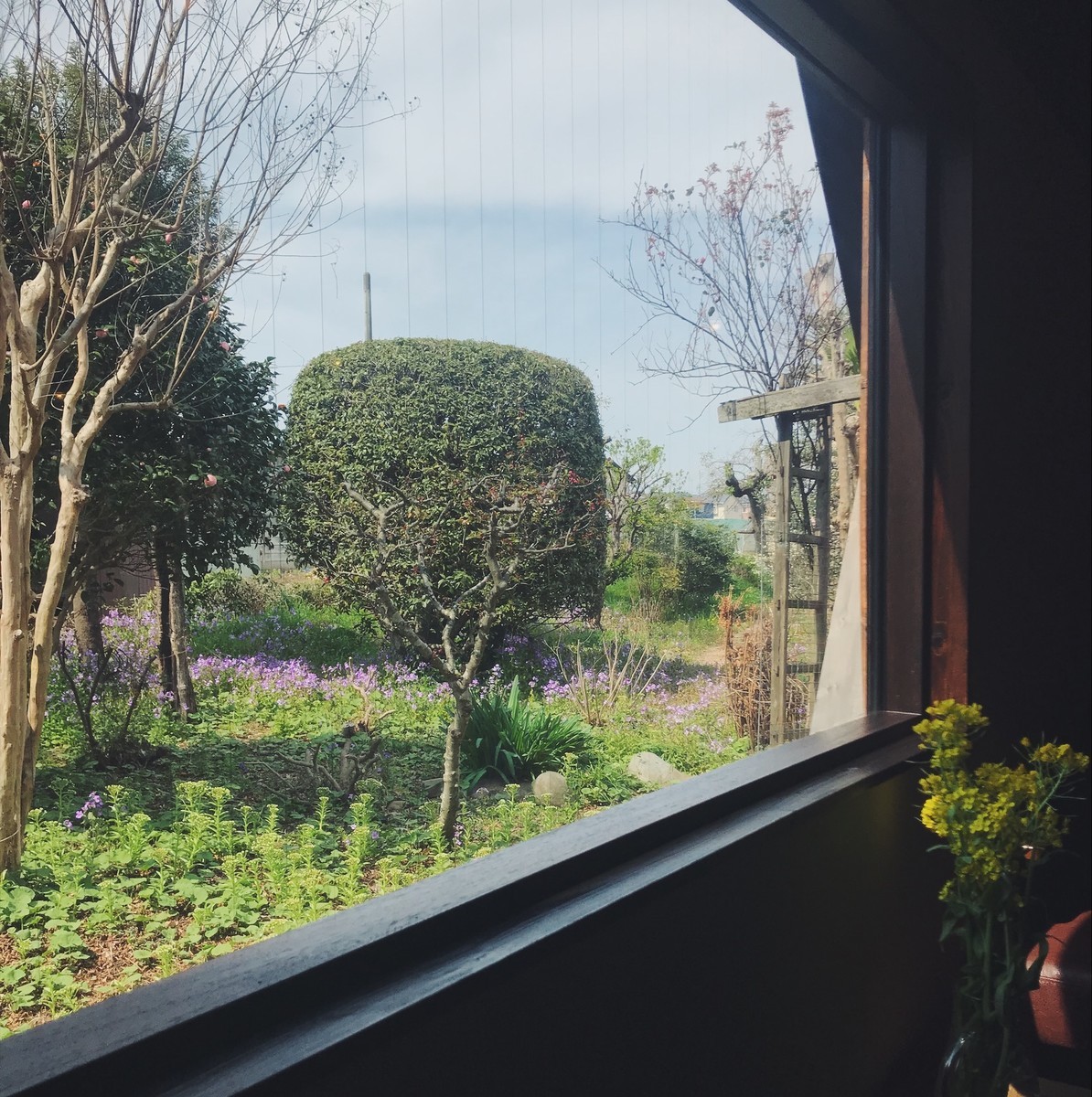 f:id:asacafe:20190404152447j:plain f:id:asacafe:20190404152447j:plain