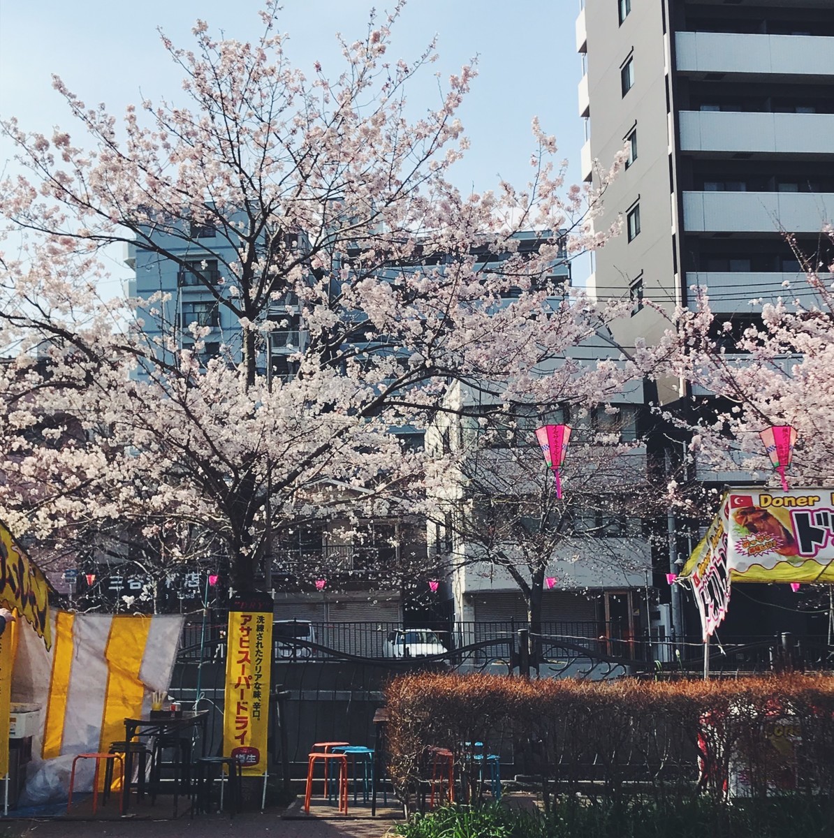 f:id:asacafe:20190407091243j:plain f:id:asacafe:20190407091243j:plain