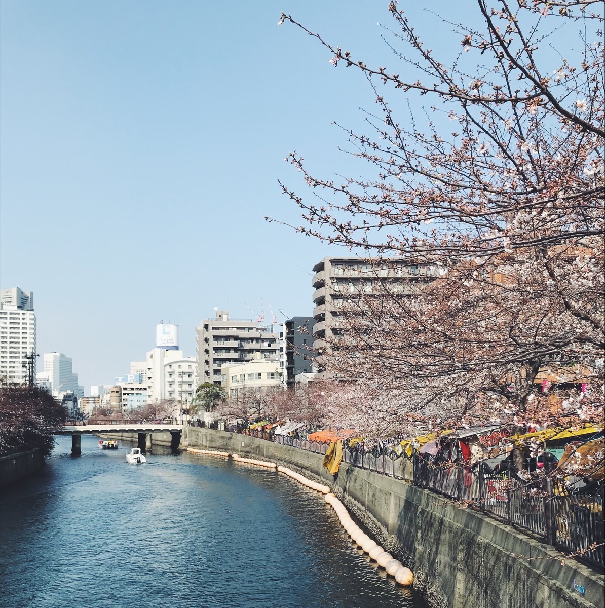 f:id:asacafe:20190407091625j:plain f:id:asacafe:20190407091625j:plain