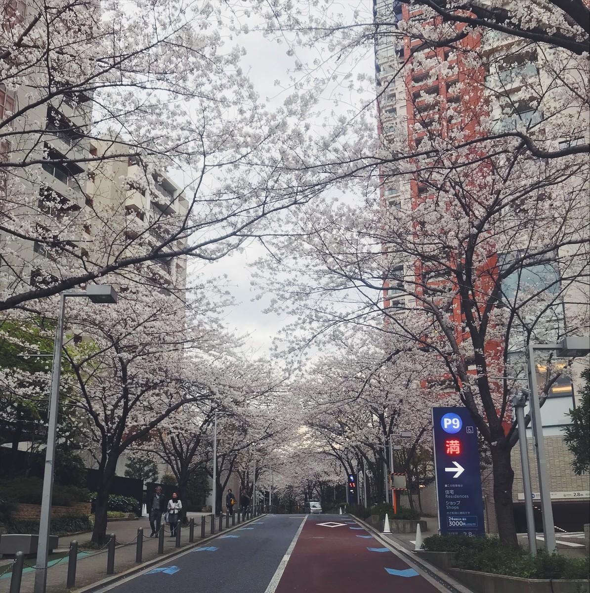f:id:asacafe:20190407151733j:plain f:id:asacafe:20190407151733j:plain
