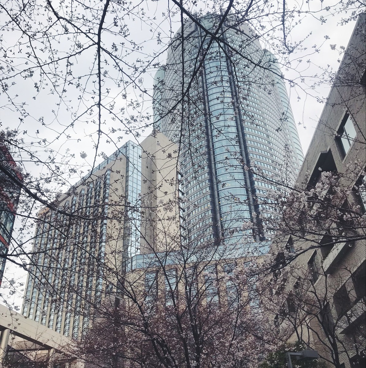 f:id:asacafe:20190407151847j:plain f:id:asacafe:20190407151847j:plain