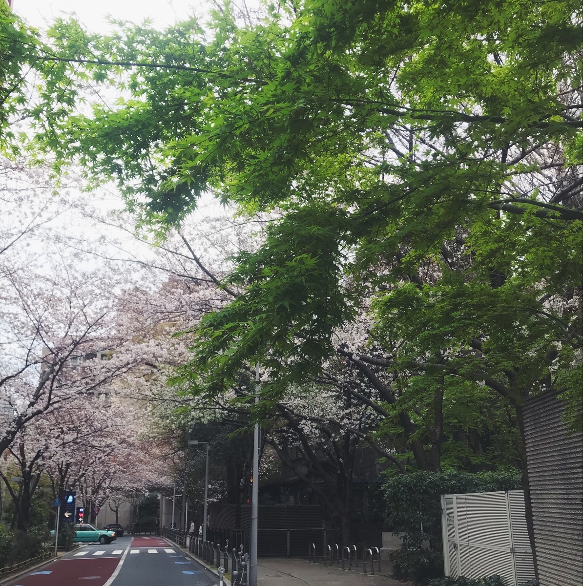 f:id:asacafe:20190407151915j:plain f:id:asacafe:20190407151915j:plain