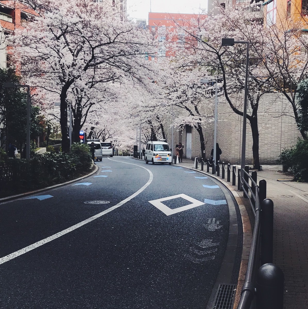 f:id:asacafe:20190407152003j:plain f:id:asacafe:20190407152003j:plain