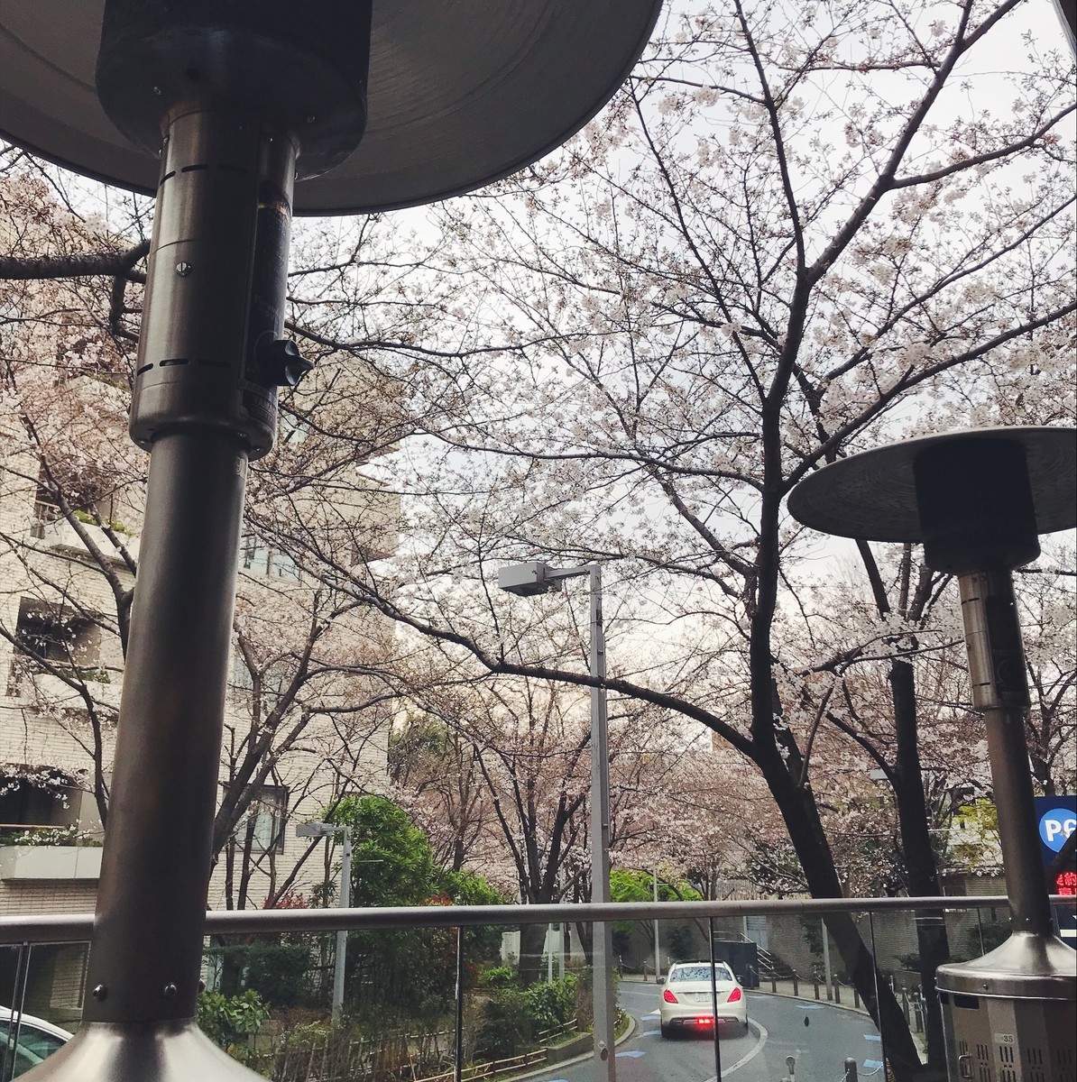 f:id:asacafe:20190407152332j:plain f:id:asacafe:20190407152332j:plain