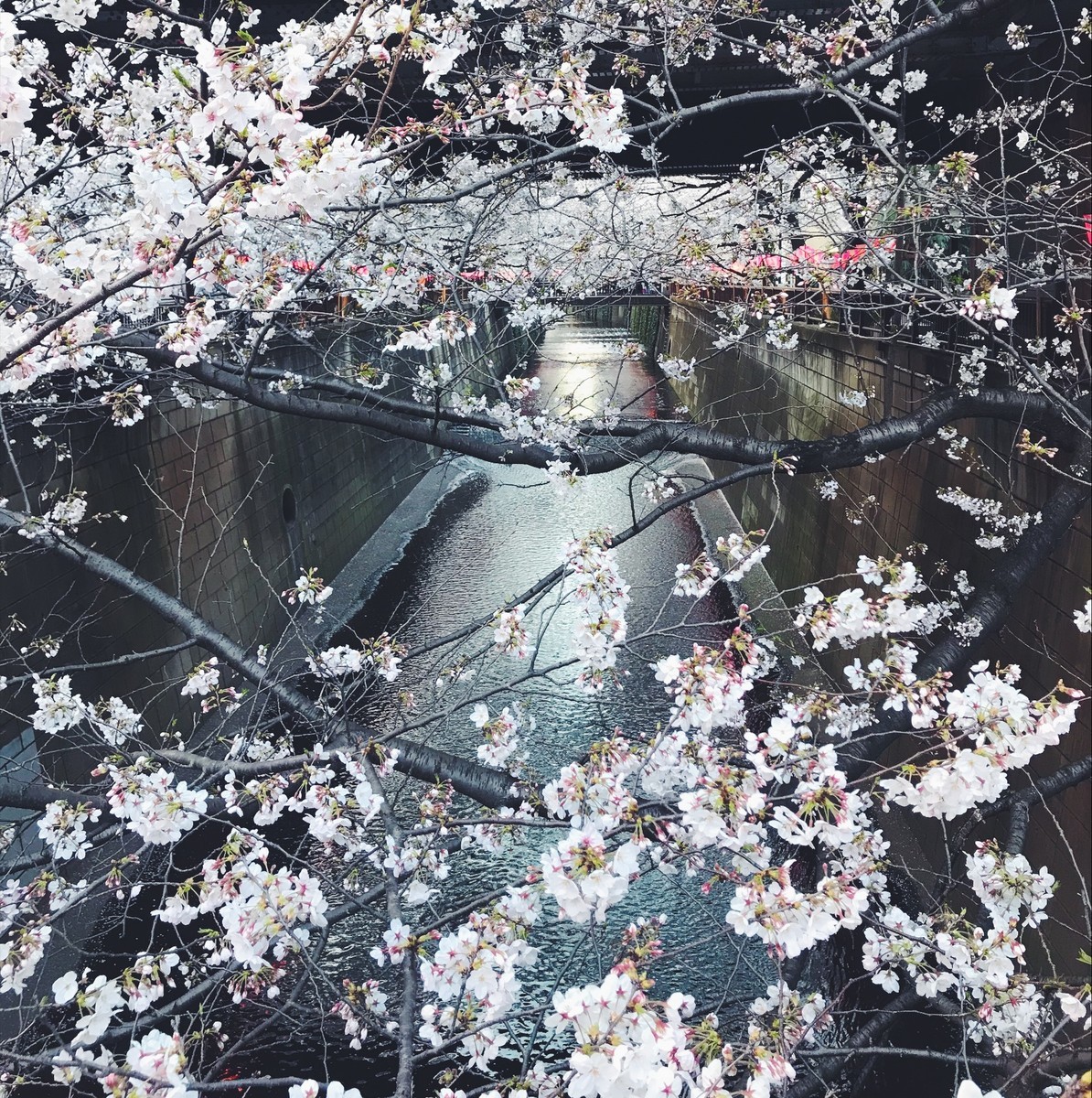 f:id:asacafe:20190408120551j:plain f:id:asacafe:20190408120551j:plain