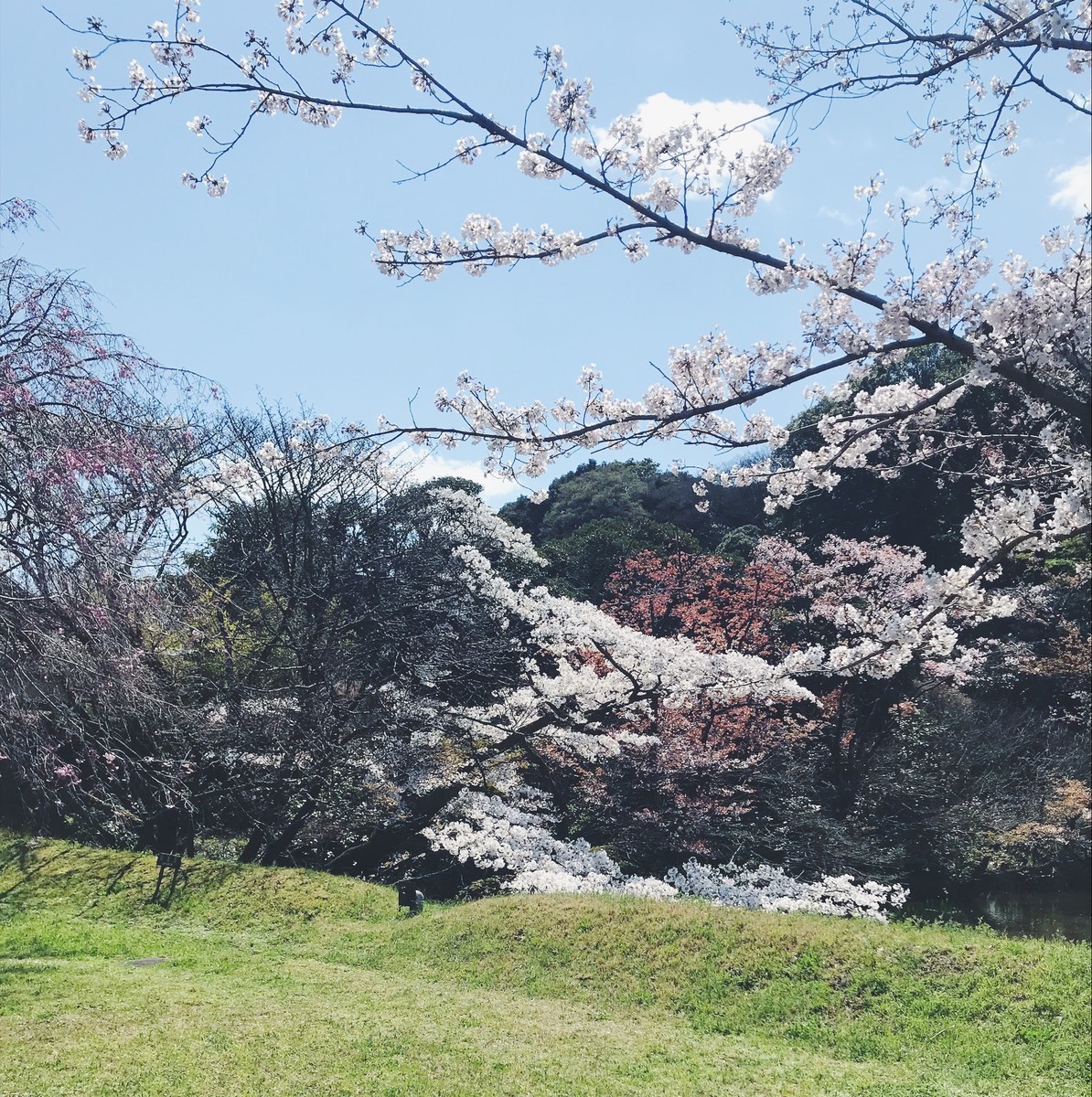 f:id:asacafe:20190408121517j:plain f:id:asacafe:20190408121517j:plain