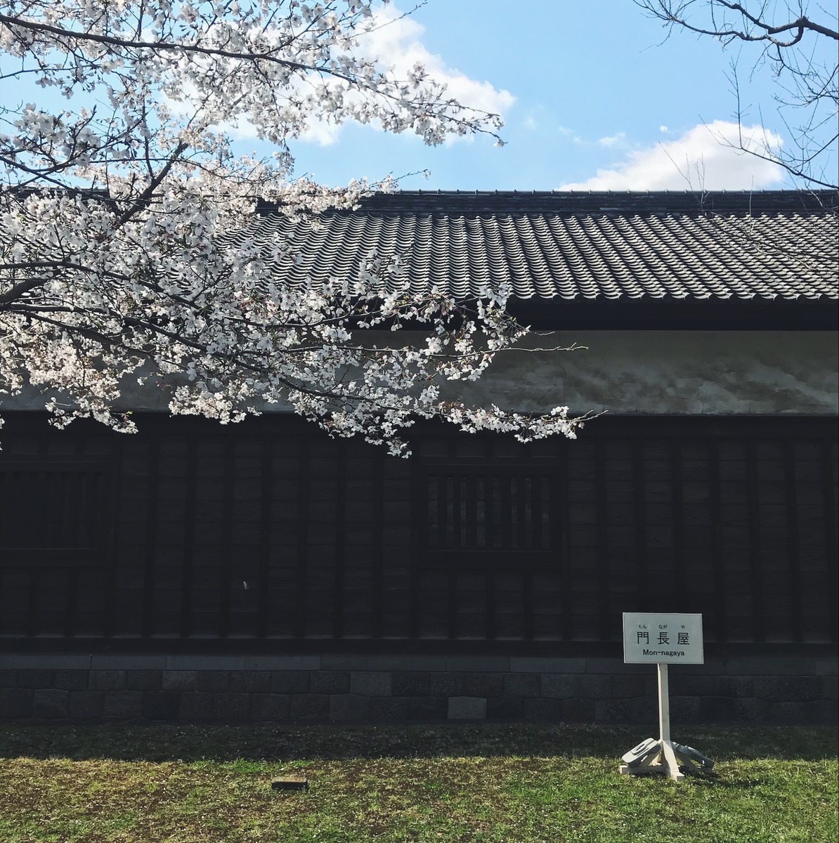 f:id:asacafe:20190408121602j:plain f:id:asacafe:20190408121602j:plain