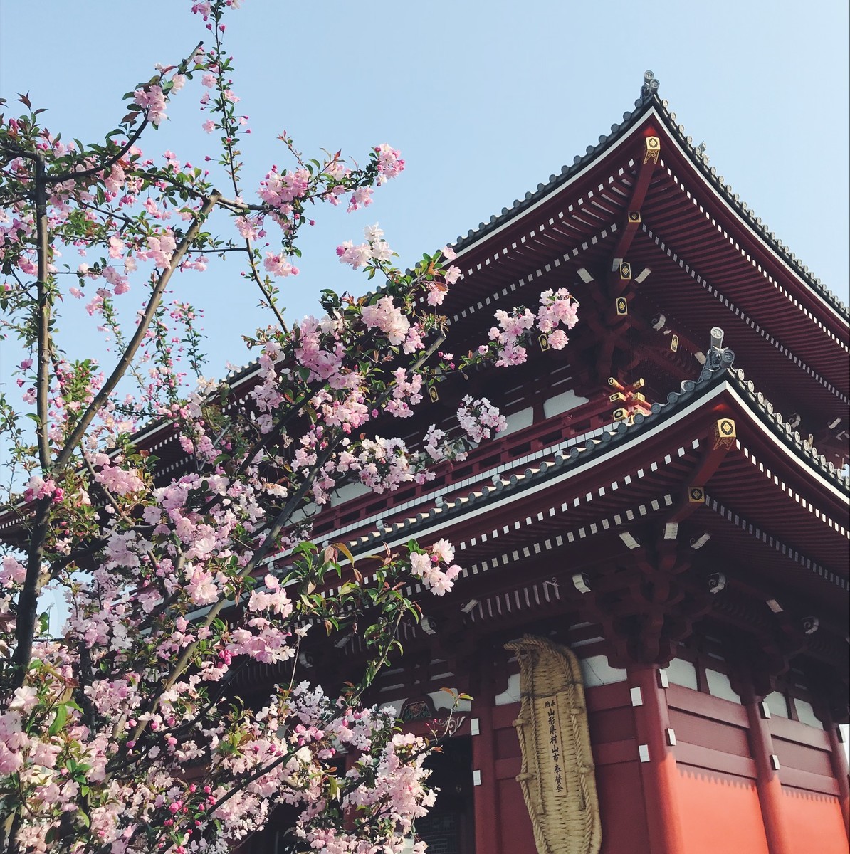 f:id:asacafe:20190408122728j:plain f:id:asacafe:20190408122728j:plain