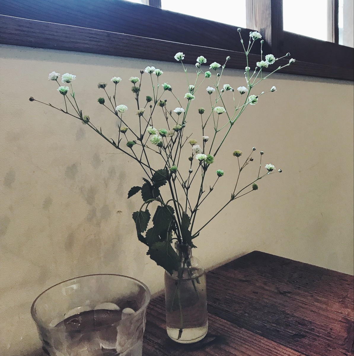 f:id:asacafe:20190411103429j:plain f:id:asacafe:20190411103429j:plain
