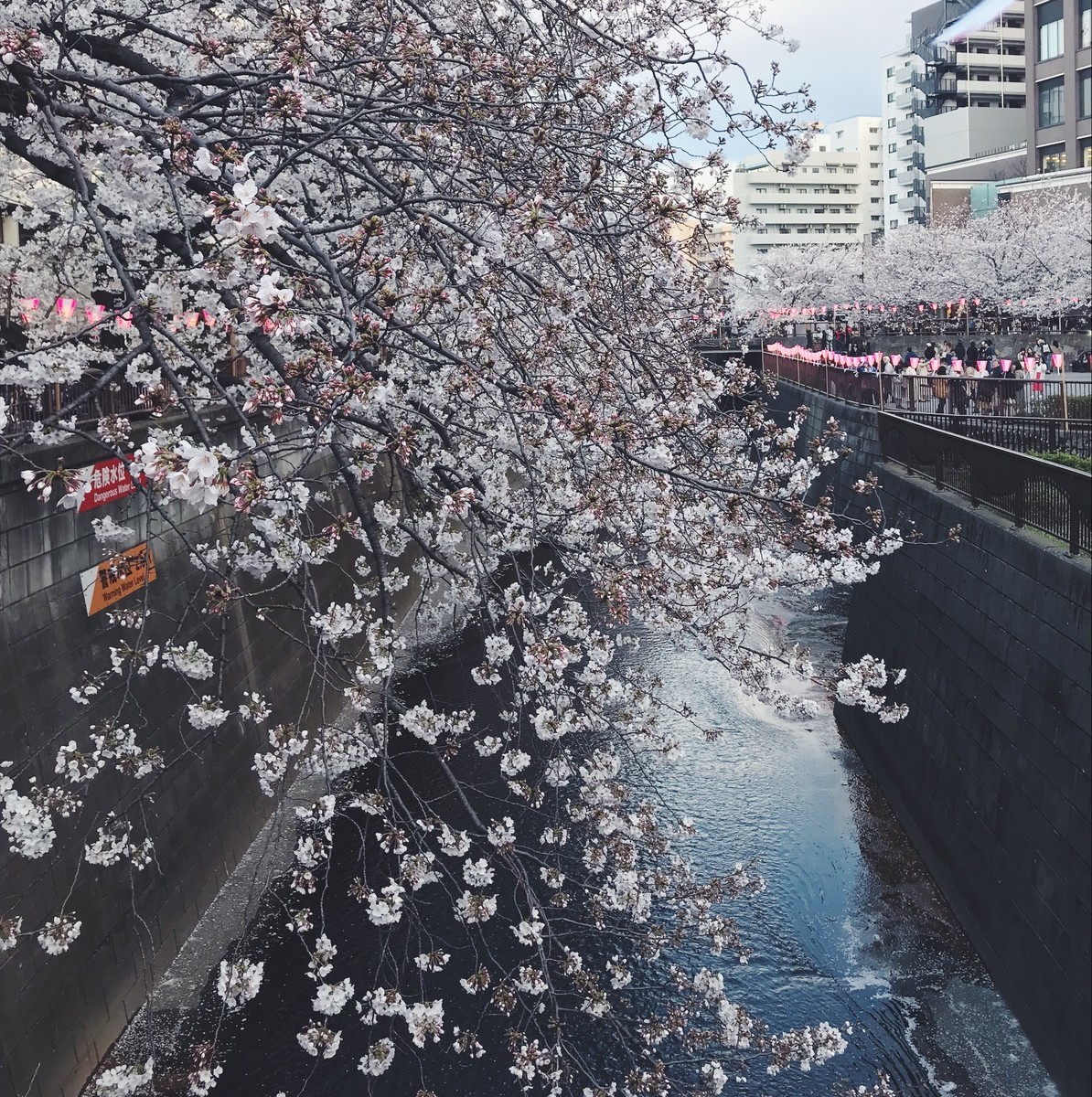 f:id:asacafe:20190411111456j:plain f:id:asacafe:20190411111456j:plain