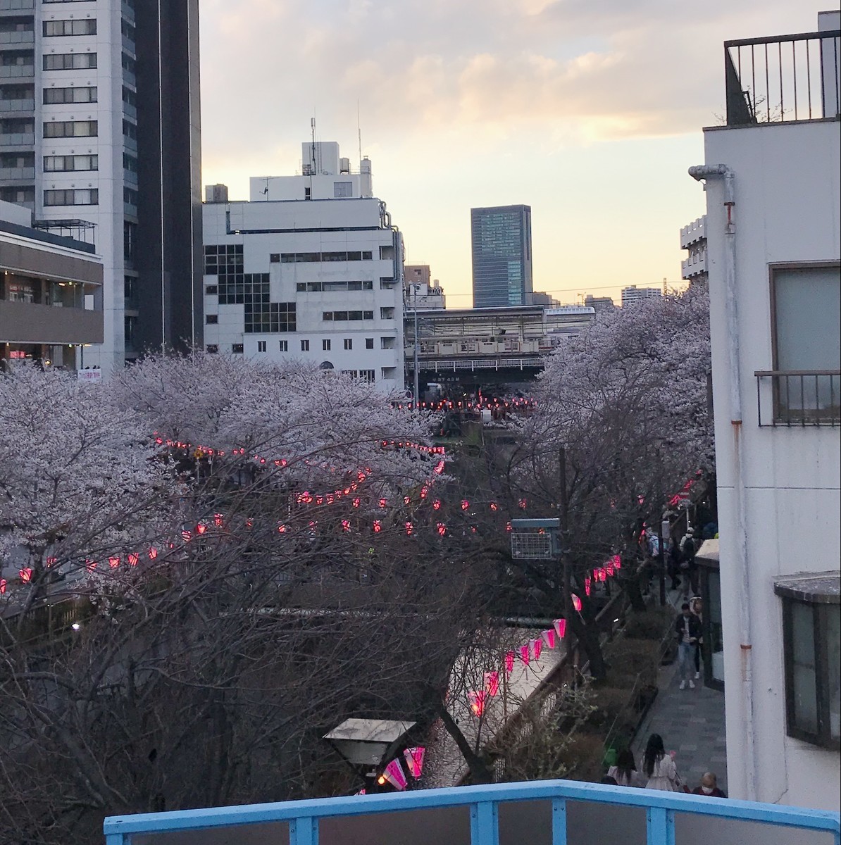 f:id:asacafe:20190411111532j:plain f:id:asacafe:20190411111532j:plain