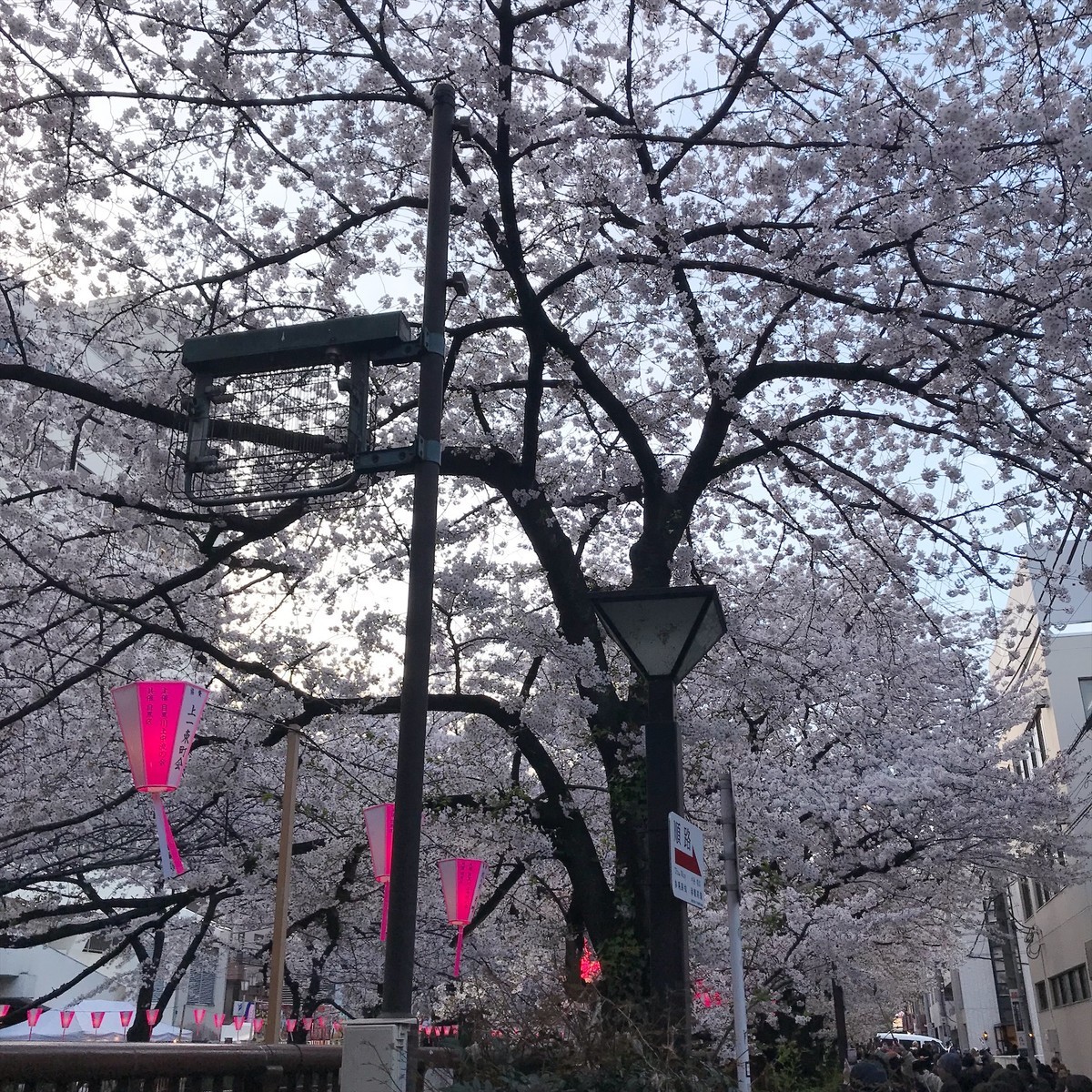 f:id:asacafe:20190411112834j:plain f:id:asacafe:20190411112834j:plain