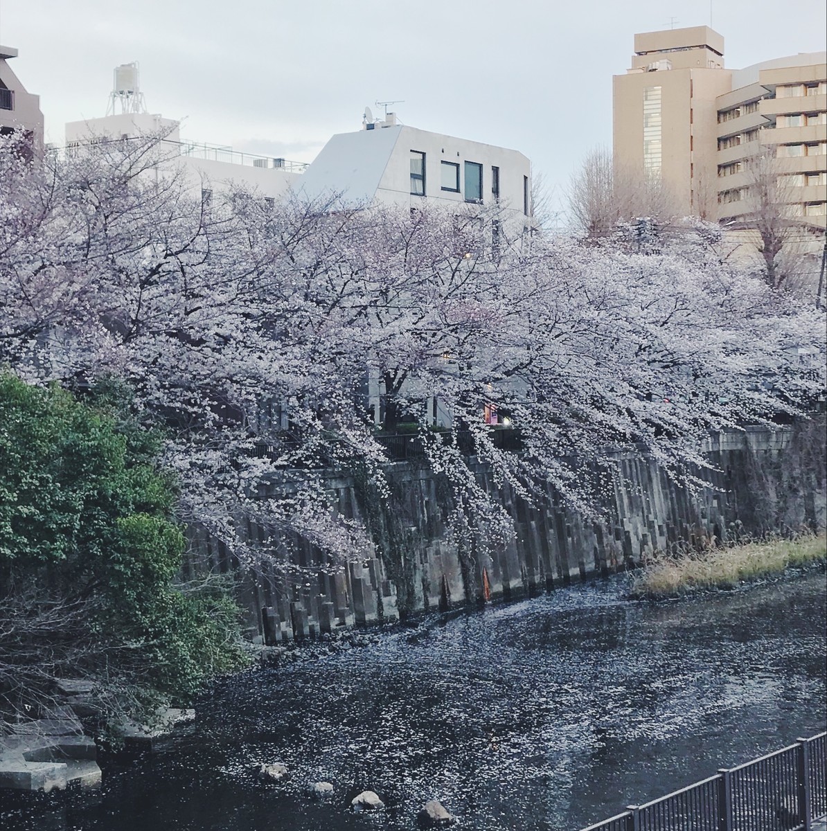 f:id:asacafe:20190411123044j:plain f:id:asacafe:20190411123044j:plain