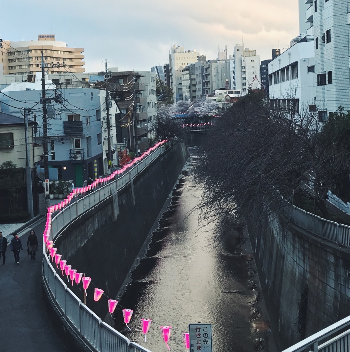 f:id:asacafe:20190411123126j:plain f:id:asacafe:20190411123126j:plain