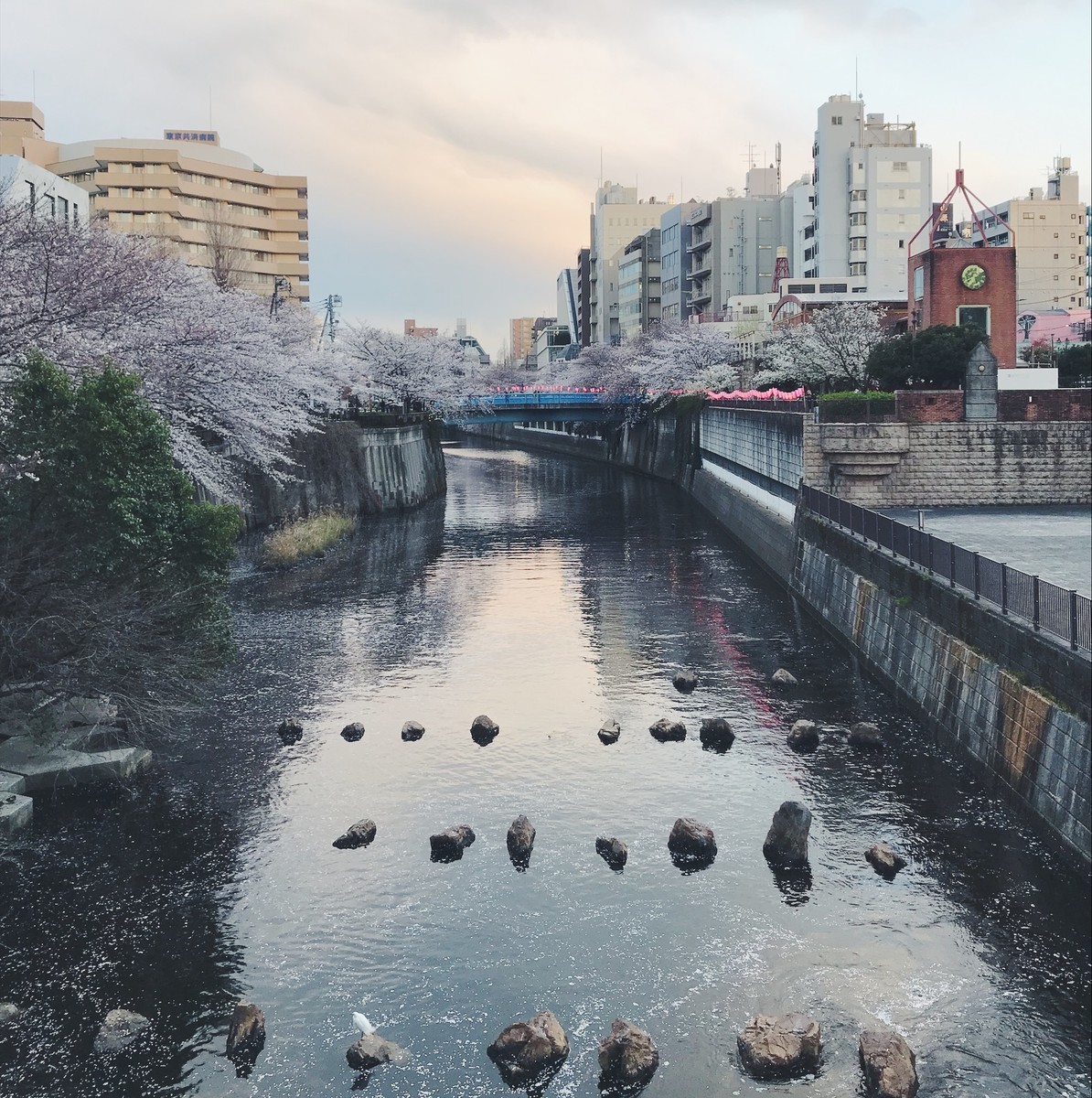 f:id:asacafe:20190411123234j:plain f:id:asacafe:20190411123234j:plain