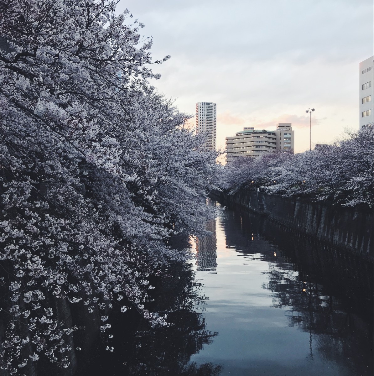 f:id:asacafe:20190411123331j:plain f:id:asacafe:20190411123331j:plain