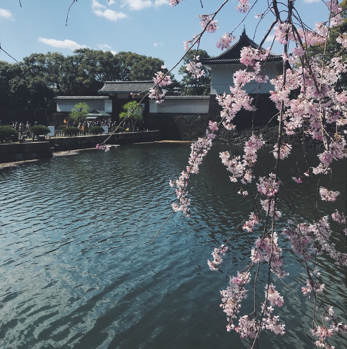 f:id:asacafe:20190412111955j:plain f:id:asacafe:20190412111955j:plain