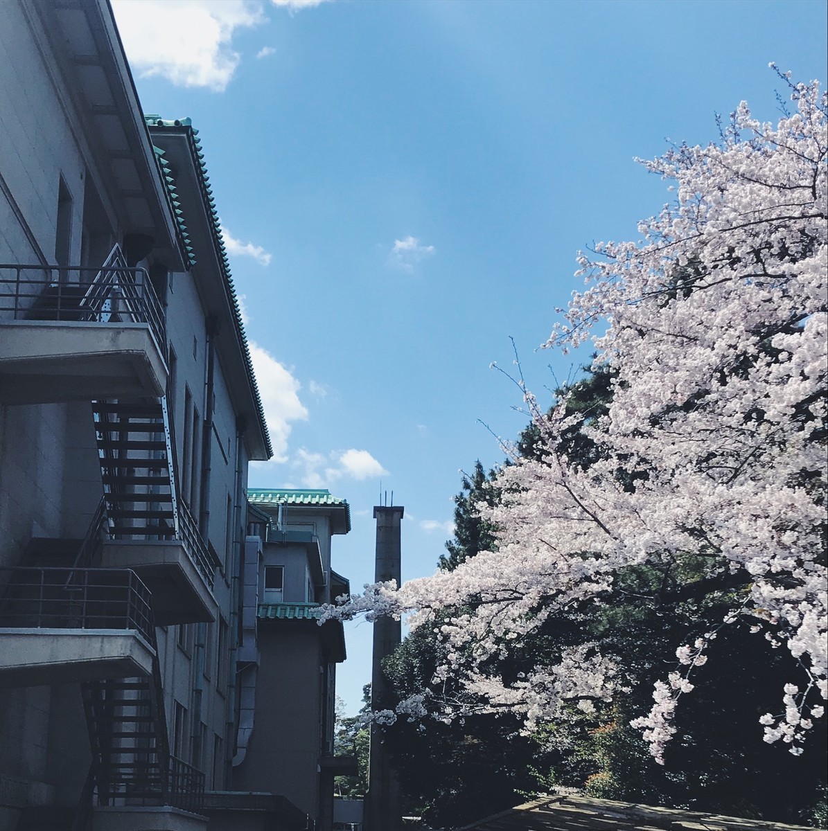 f:id:asacafe:20190412112126j:plain f:id:asacafe:20190412112126j:plain