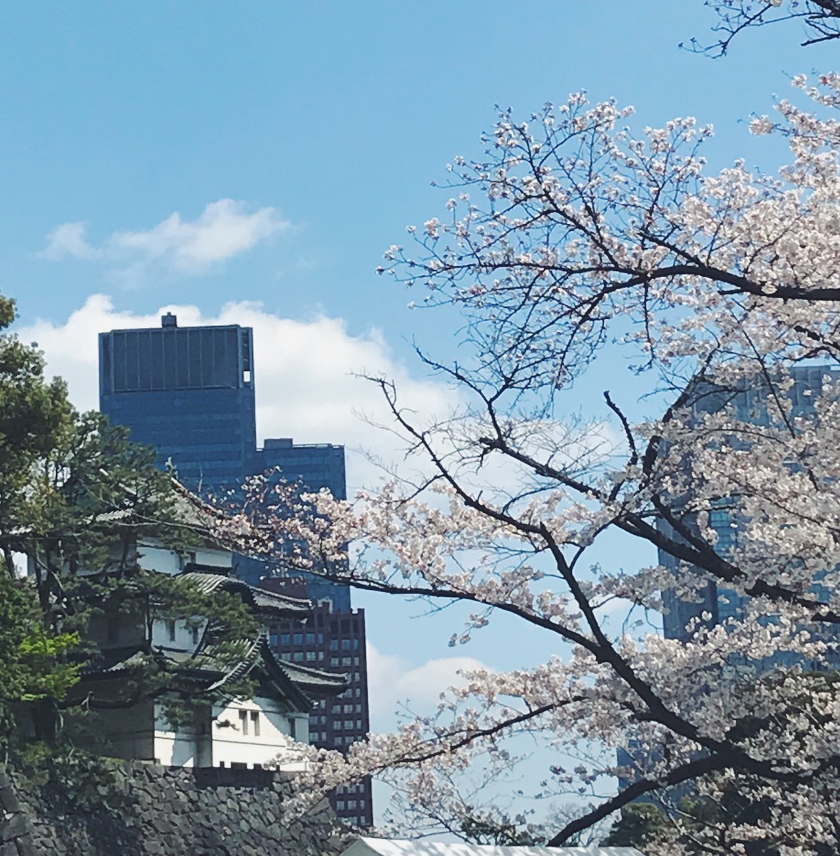 f:id:asacafe:20190412112151j:plain f:id:asacafe:20190412112151j:plain