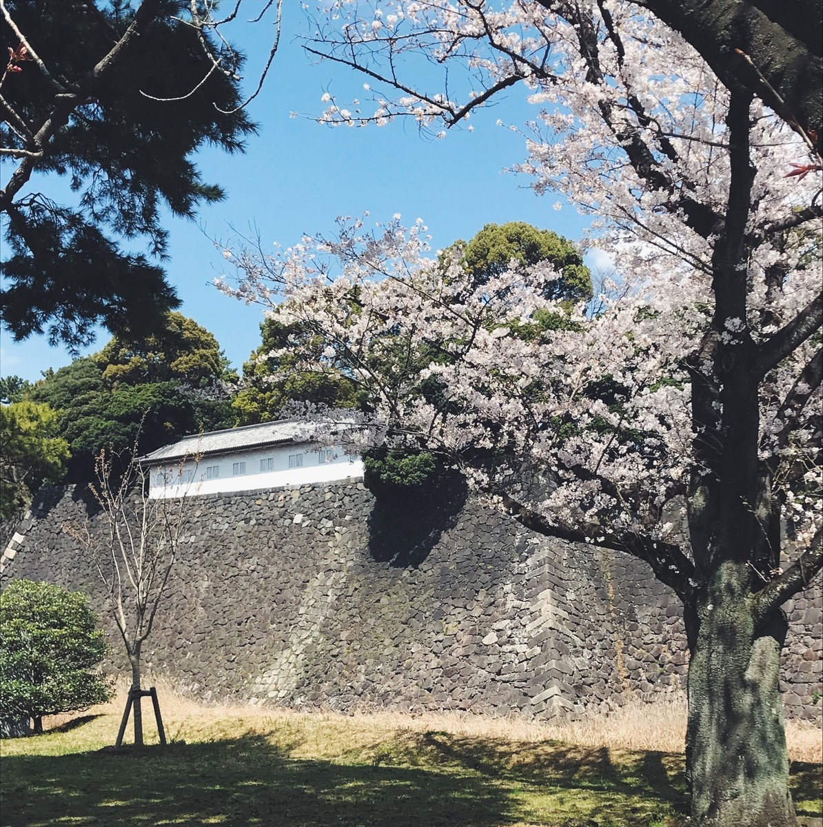 f:id:asacafe:20190412112523j:plain f:id:asacafe:20190412112523j:plain