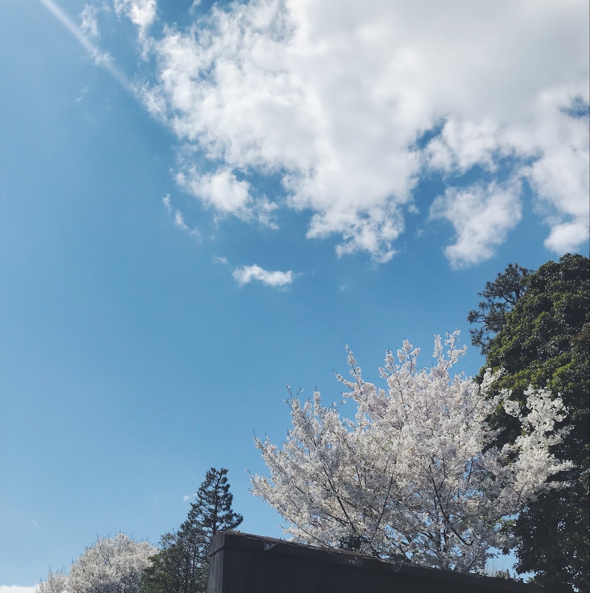 f:id:asacafe:20190412112858j:plain f:id:asacafe:20190412112858j:plain