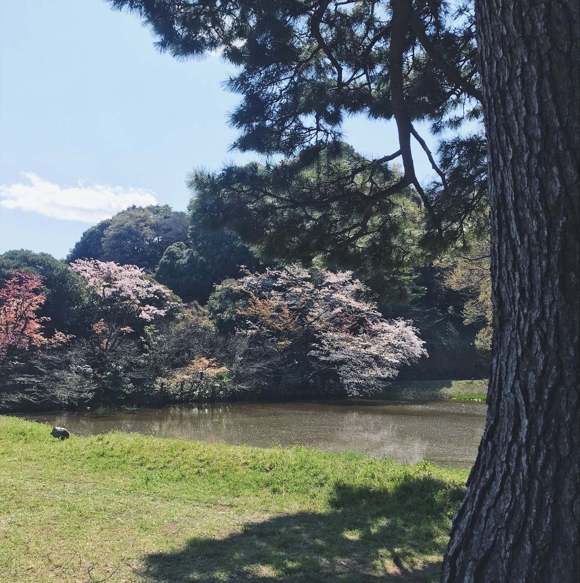 f:id:asacafe:20190412112938j:plain f:id:asacafe:20190412112938j:plain