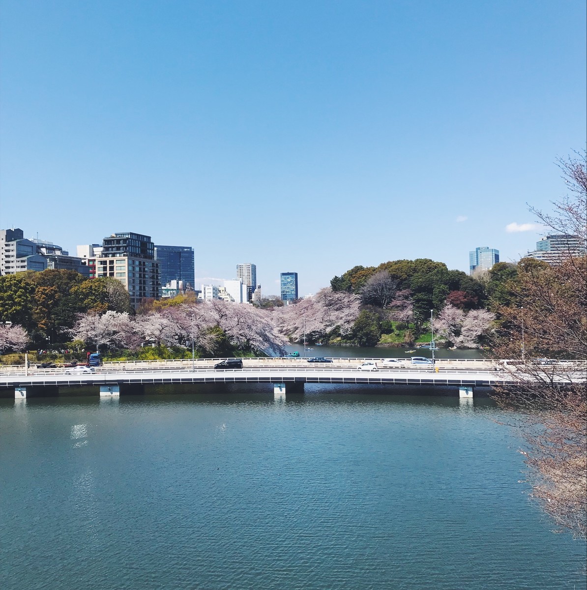 f:id:asacafe:20190416083422j:plain f:id:asacafe:20190416083422j:plain