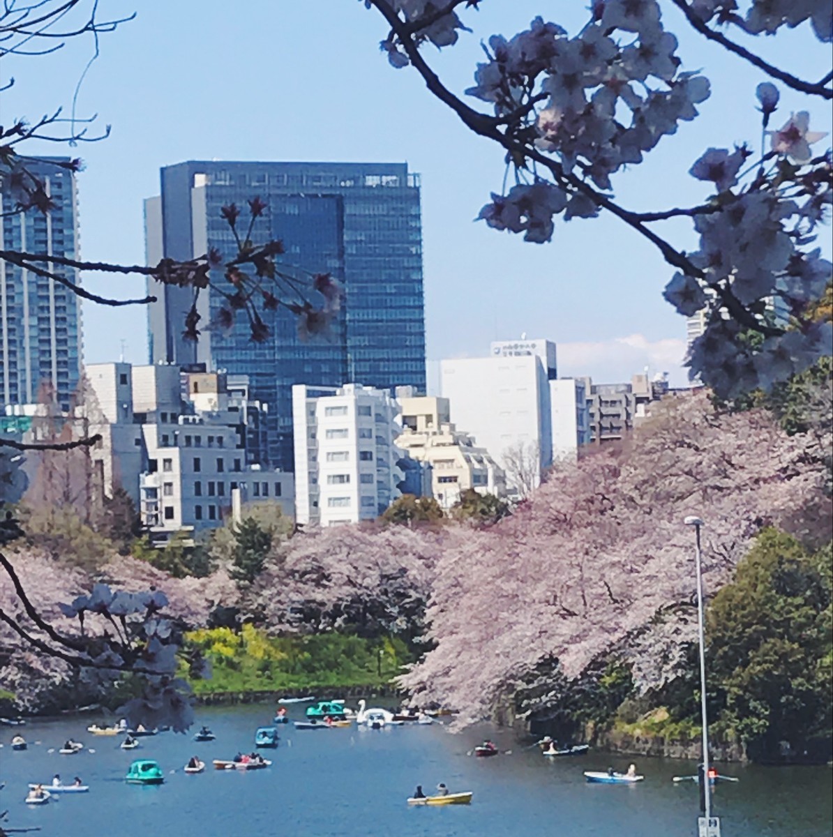 f:id:asacafe:20190416083459j:plain f:id:asacafe:20190416083459j:plain