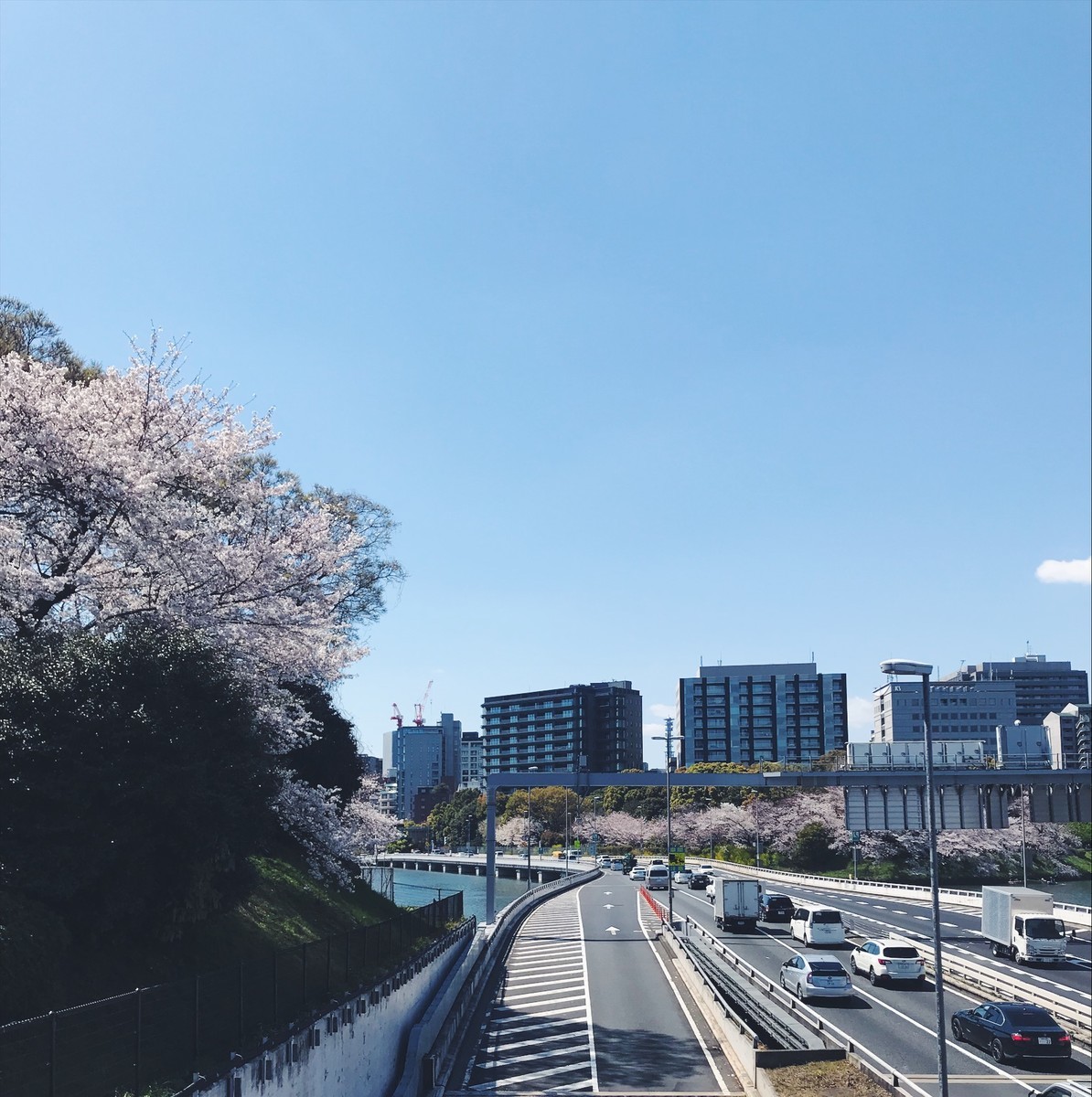 f:id:asacafe:20190416083828j:plain f:id:asacafe:20190416083828j:plain