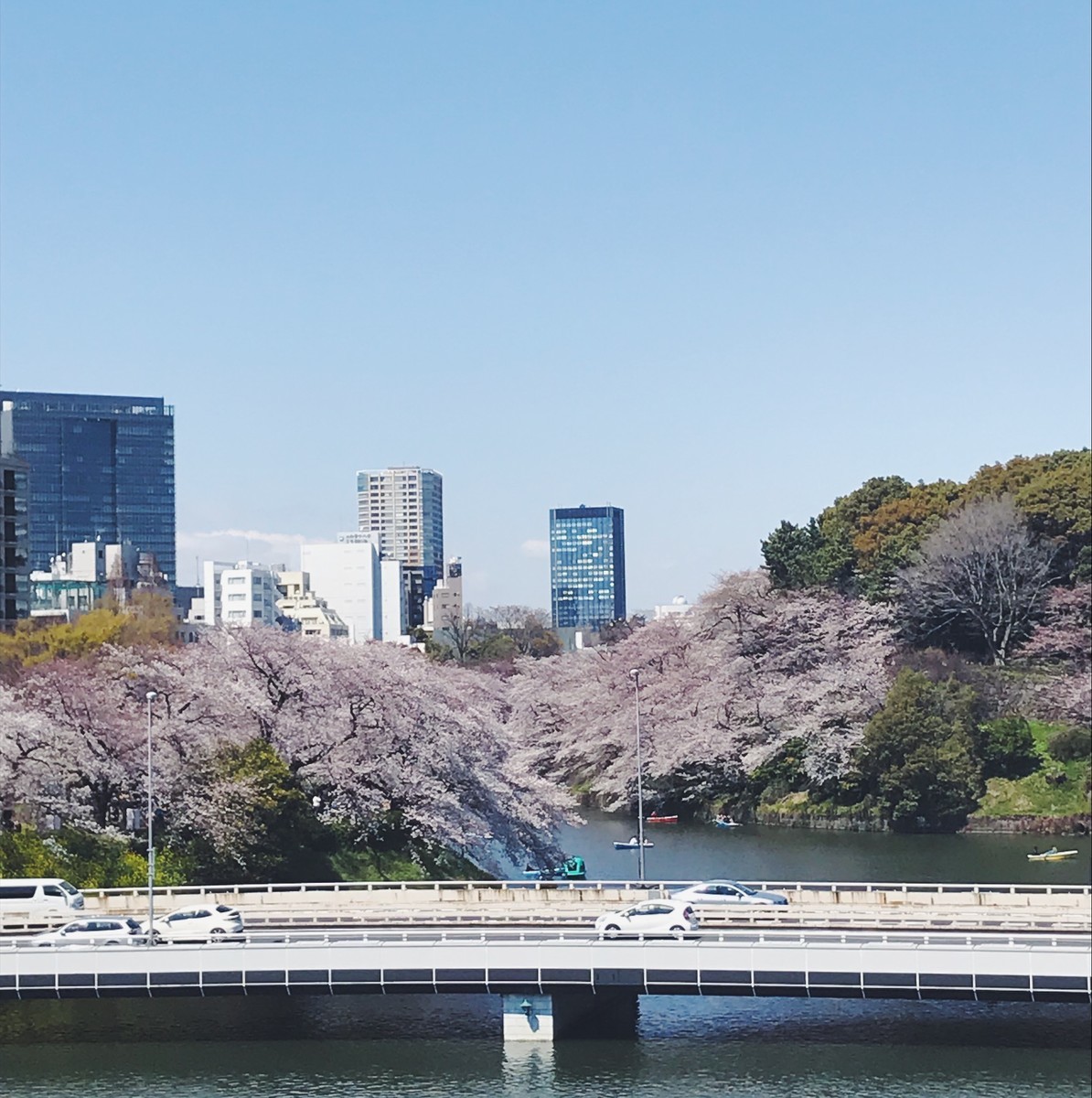 f:id:asacafe:20190416083852j:plain f:id:asacafe:20190416083852j:plain