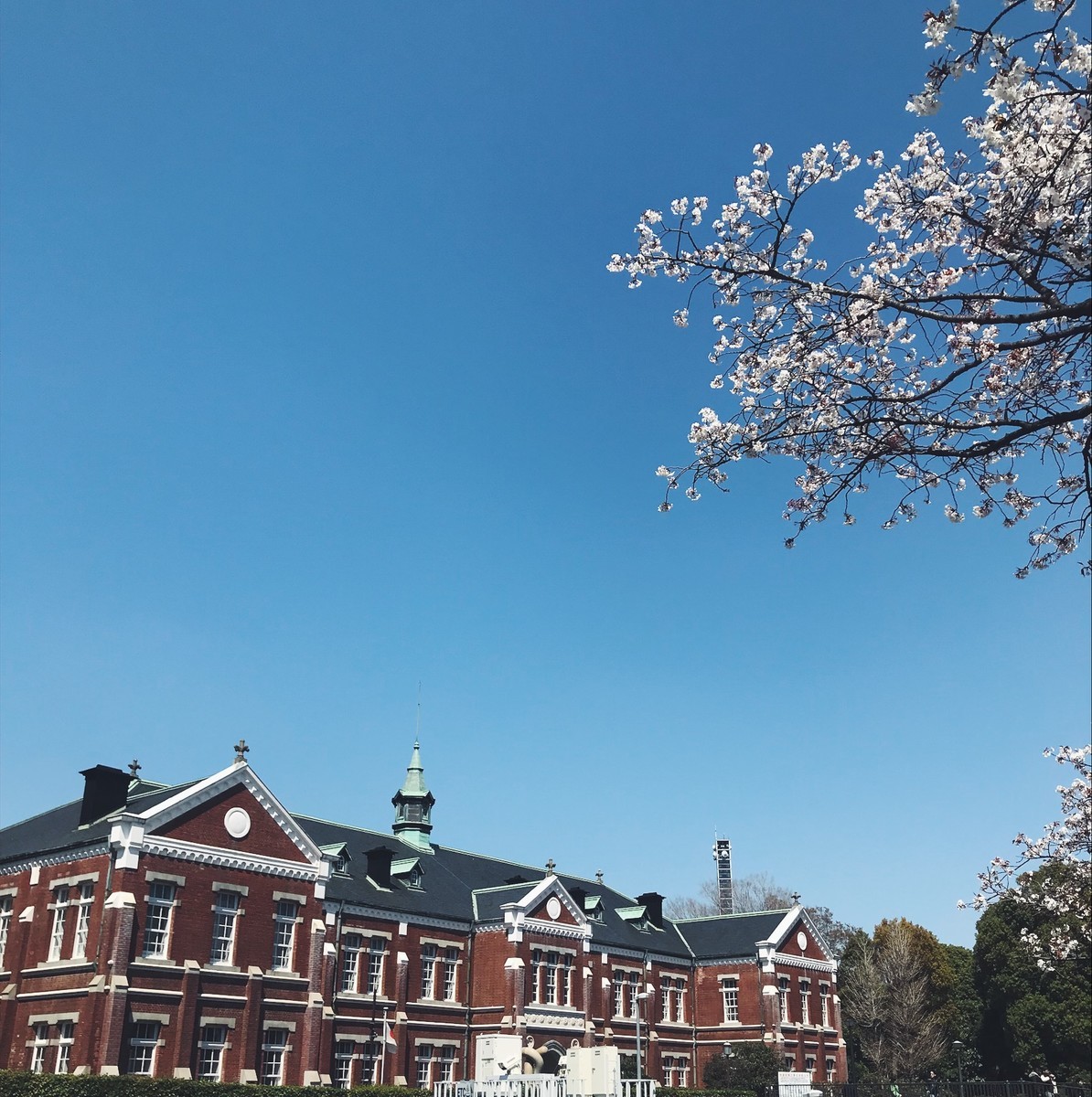 f:id:asacafe:20190416084342j:plain f:id:asacafe:20190416084342j:plain